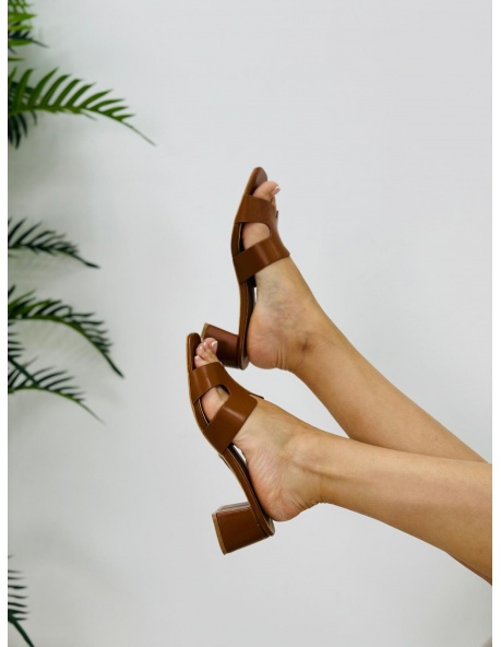 Mule Datil 2