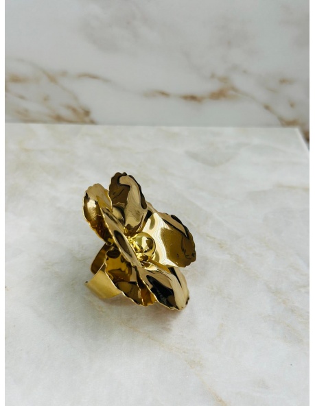 Anillo Rousse 2