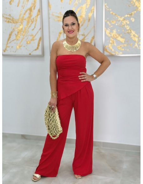 Conjunto Tarzán